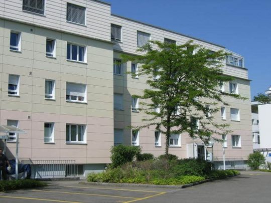 "Greifensee zum Greifen nahe!" - Photo 1