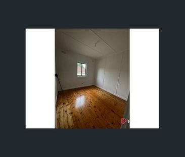 Great size house with a yard for the kids - Photo 1