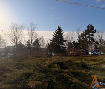 Pronájem bytu 2+1 65 m² - Photo 2