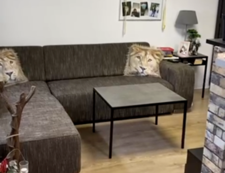 Souterrainwohnung - Foto 1