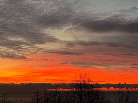 For Lease - 11 Redland Crescent, Toronto, Ontario - Photo 3