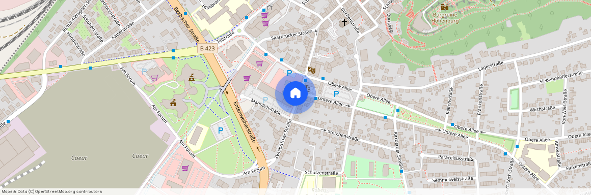 Zweibrückerstr. 27, 66424 Saarland - Homburg