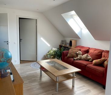 Nypongatan, Lomma - Photo 6