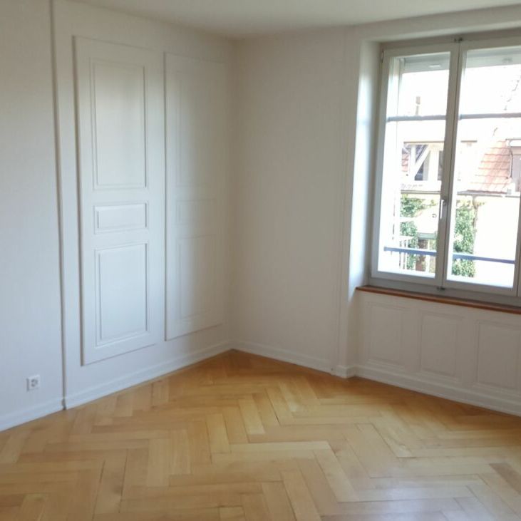 Schöne renovierte Wohnung und Loft nähe Stadtpark - Photo 1