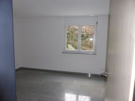 schöne 5.5 Zimmerwohnung an ruhiger Lage - Photo 3