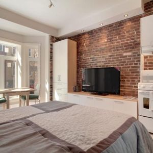 Loft entièrement meublé à louer Saint-Jean-Baptiste septembre 2026 - Photo 2