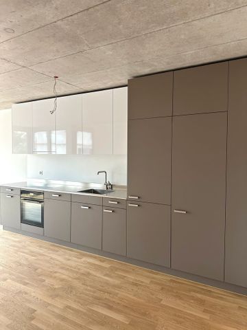 Moderne 4.5-Zimmer-Wohnung in neuem Terrassenhaus - Photo 5