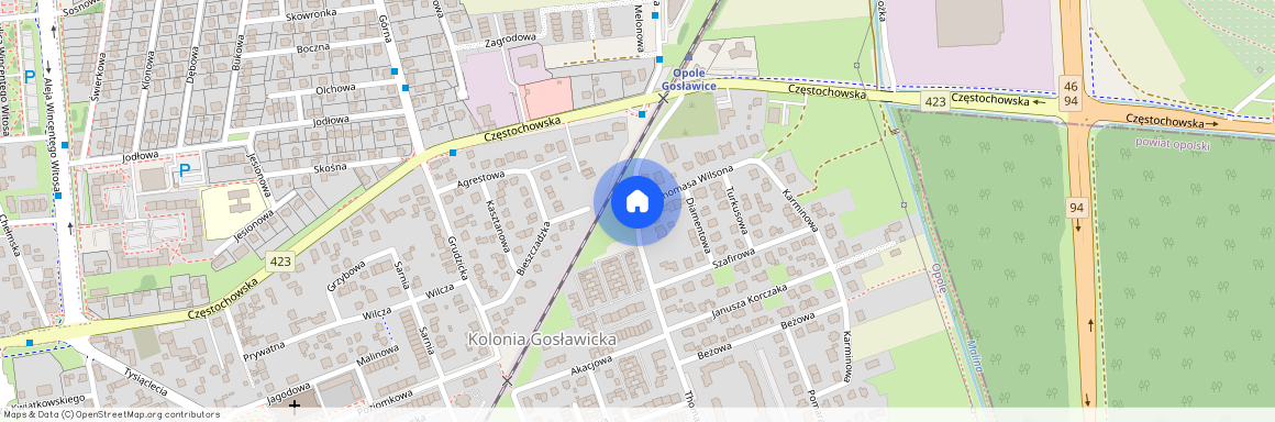 ul. Thomasa Wilsona, Kolonia Gosławicka, Opole, opolskie