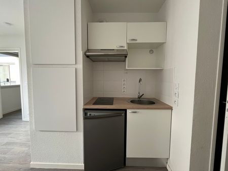 Location Appartement 2 pièces 29m² AUZEVILLE TOLOSANE 31320 - Photo 4