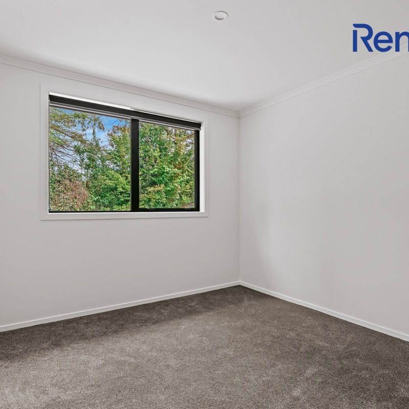 2 Pure Way, Te Puke - Photo 1