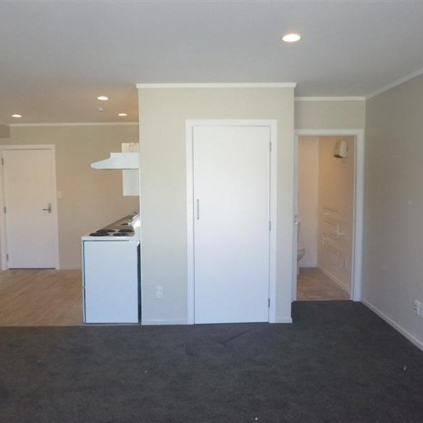 CENTRAL PETONE STUDIO APARTMENT - Photo 1