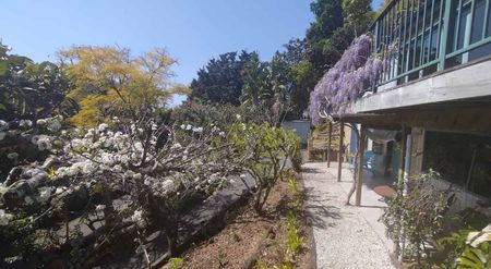 Charming Opua Stuido Unit w/ Garden - Photo 5