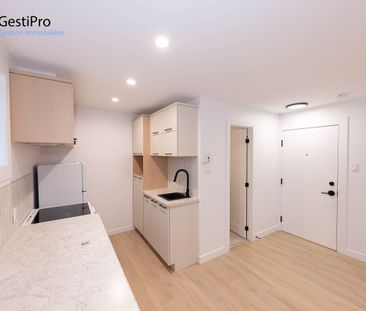 2995 St-Léandre - Photo 4