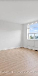 Bachelor Apartment for Lease – Woodbine / Danforth - Photo 3