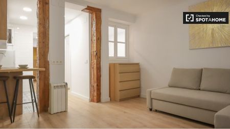 madrid, Community of Madrid 28012 - Photo 5