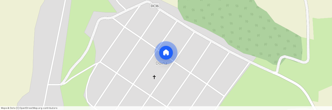 Doina, 717321