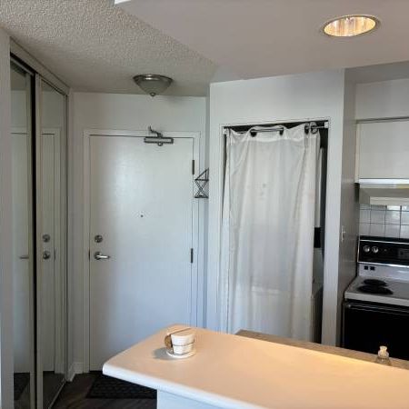 1 Bdr Condo on quiet side of King West - Photo 4