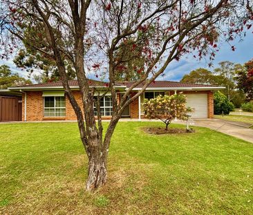 3 Hickey Place, 2567, Mount Annan Nsw - Photo 3