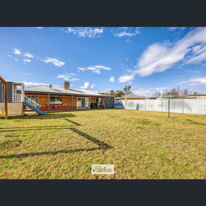 2 Meadow Grove, Mildura, Vic 3500 - Photo 1