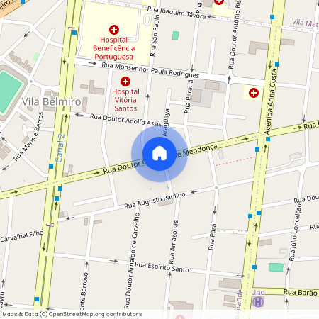 Rua Doutor Carvalho De Mendonça, Campo Grande - Santos