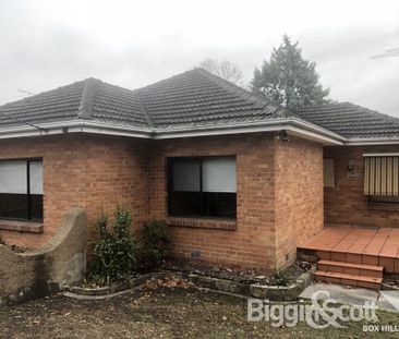 Spacious Family Home for Rent in Box Hill North - Photo 1