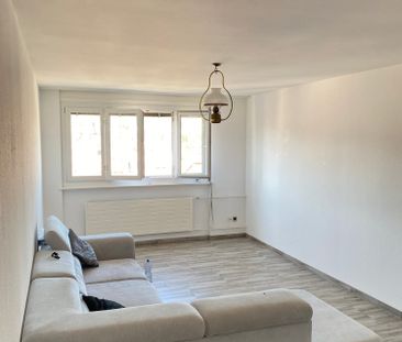 2.5 Zimmer, 50 m², 8. Stock - Foto 2