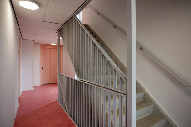 Albertina Sisulupad 188 - Photo 1