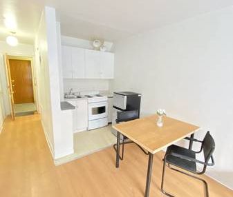 STUDIO ON PLATEAU CLOSE TO SUBWAY and McGill or Guy Concordia Universi - Photo 4