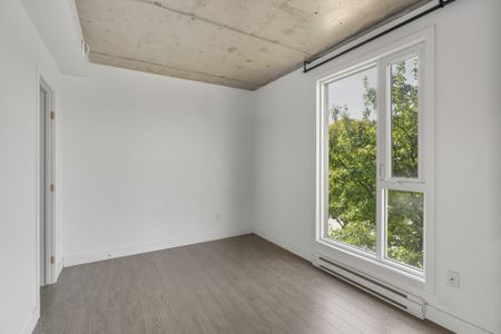 250 Boul. Maisonneuve, #903 - Photo 2