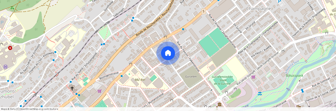 2502, Biel/Bienne, Rue Feldeck / Feldeckstrasse, 11