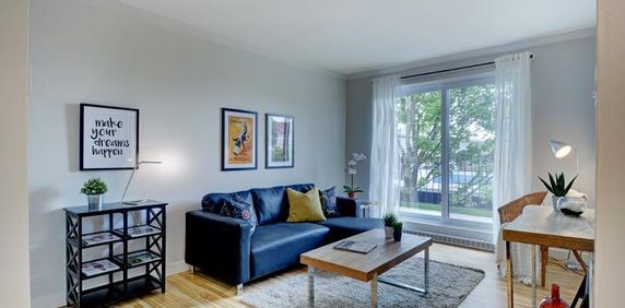 Appartement 4 ½ à louer Limoilou décembre 2025 - Photo 2