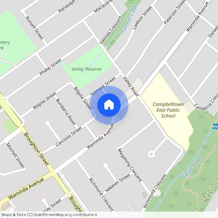 113 Waminda Avenue, NSW 2560, Campbelltown