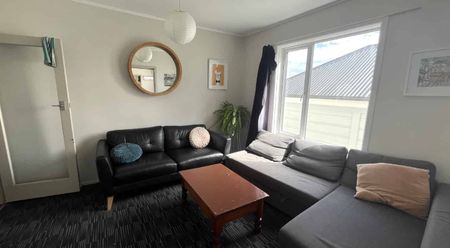 Austin Street, Mt Vic - Photo 4