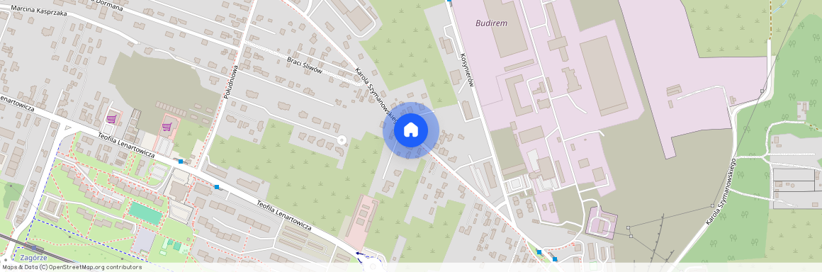 ul. Karola Szymanowskiego, Zagórze Północ, Sosnowiec, śląskie