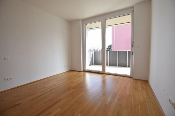 Liebenau – 58m² – 3 Zimmer – Balkon – WG-fähig - Foto 1