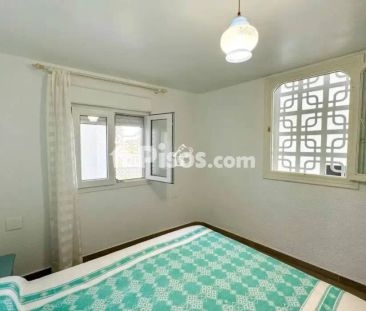 Chalet en alquiler en Orihuela - Photo 6