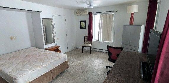 grande chambre avec un bureau - Photo 2