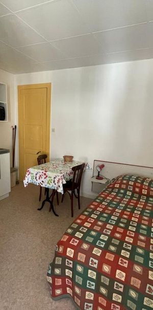 Location Appartement 1 pièce Meublé 13m² DAX 40100 - Photo 1