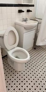 2 CH - 1 SDB - Sainte-Anne-de-Bellevue - $1,329 /mo - Photo 4