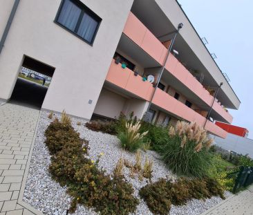 2 Zim­mer-Woh­nung mit gro­ßem Bal­kon mit Kaufoption 3_25 - Photo 2