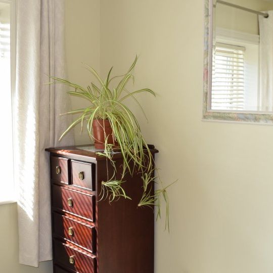 Cosy room to rent in 4-bedroom house in Terenure, Dublin - Photo 1