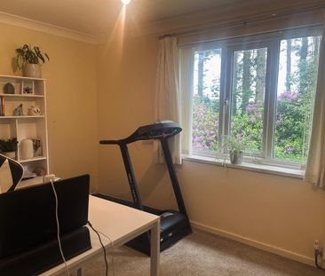 2 bedroom house to rent - Photo 4