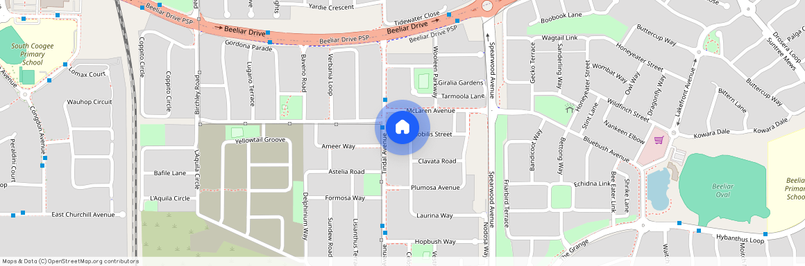 19 Nobilis Street, WA 6164, Beeliar