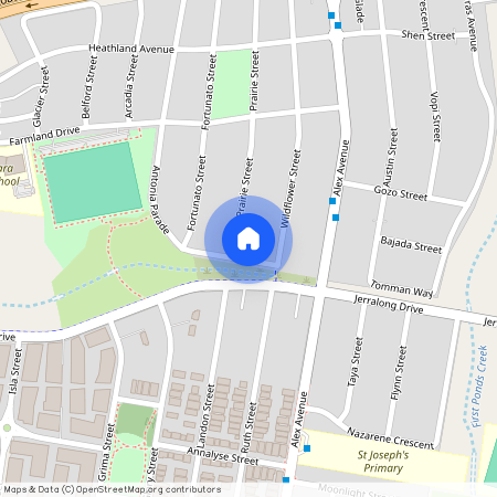 67 Antonia Parade, NSW 2762, Schofields