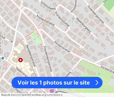 Charming apartment on the Zürichberg - RENT WITHOUT DEPOSIT - Photo 1