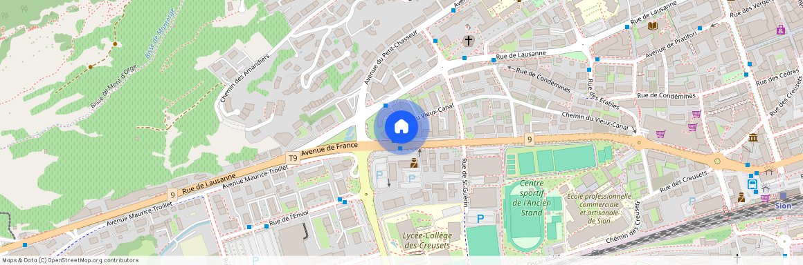 Avenue de France 82, 1950 Sion