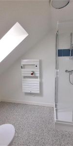 Location Appartement 1 pièce 26m² LILLE 59000 - Photo 4