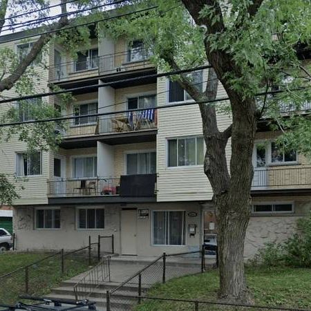 Spacious 1-bedroom Apartment in Cote-des-Neiges - Photo 3