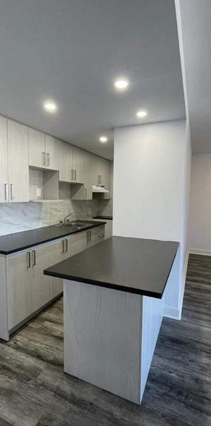 1 CH - 1 SDB - Montréal - $1,800 /mo - Photo 1