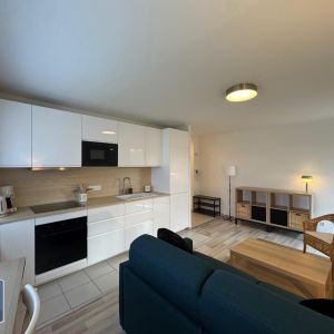 Location Appartement 1 pièce 35m² TOURS 37100 - Photo 2